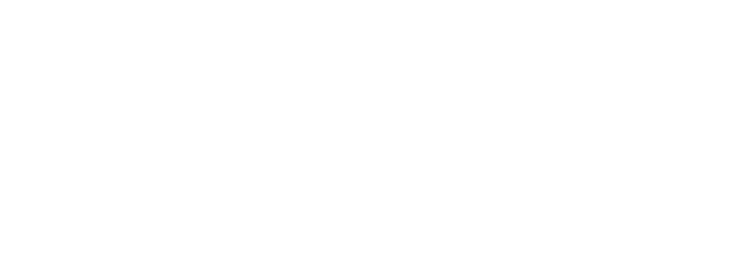 Google-ADS